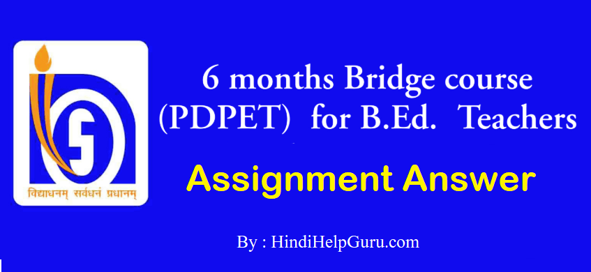 Bridge Course Assignment answer