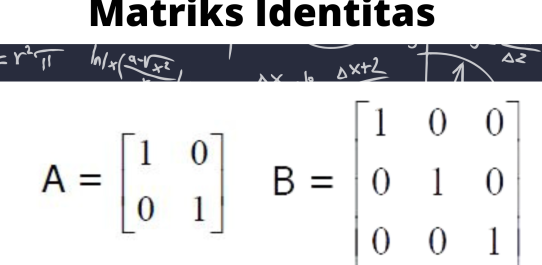 Materi Matriks Kelas 11 PDF Free Download