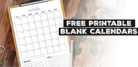 Blank August 2023 Calendar Printable PDF Free Download