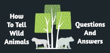How To Tell Wild Animals Questions And Answers PDF Download