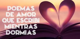 Poemas De Amor Que Escribi Mientras Dormias PDF Download