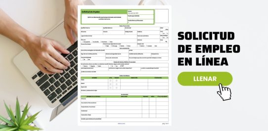 Solicitud De Empleo PDF Free Download