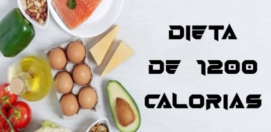 Dieta De 1200 Calorias PDF Free Download
