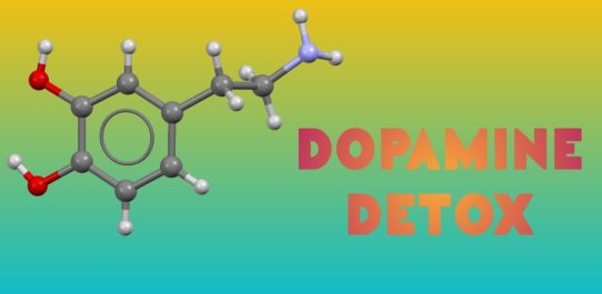 Dopamine Detox PDF Free Download