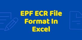 EPF ECR File Format In Excel PDF Free Download