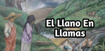 El Llano En Llamas PDF Free Download