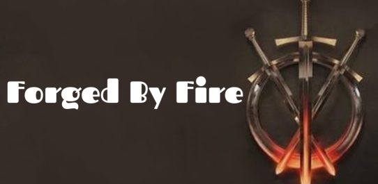 Forged By Fire PDF Free Download