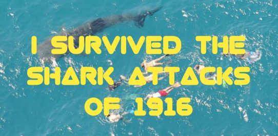 I Survived The Shark Attacks Of 1916 PDF Free Download