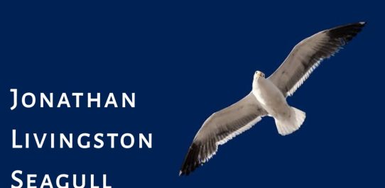 Jonathan Livingston Seagull PDF Free Download