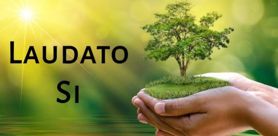 Laudato Si PDF Free Download