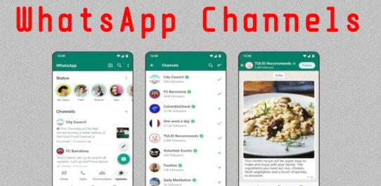 WhatsApp Channels