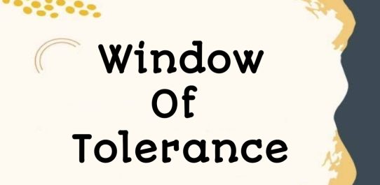 Window Of Tolerance PDF Free Download