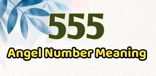 555 Angel Number Meaning