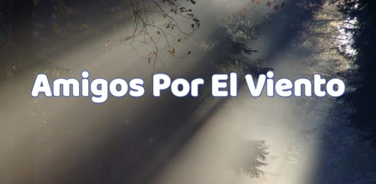 Amigos Por El Viento PDF Free Download
