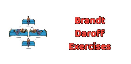 Brandt Daroff Exercises PDF Free Download