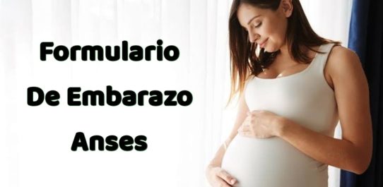Formulario De Embarazo Anses PDF Free Download