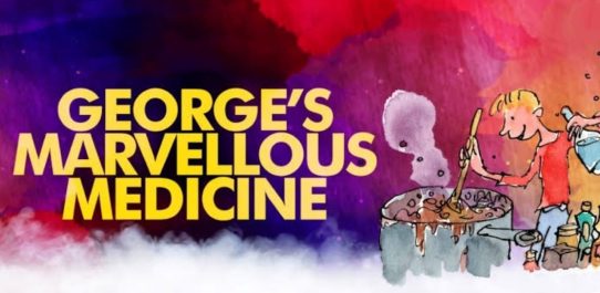 Georges Marvellous Medicine PDF Free Download