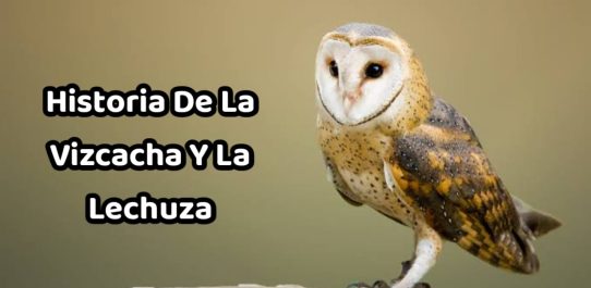 Historia De La Vizcacha Y La Lechuza PDF Free Download