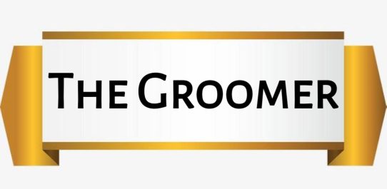 The Groomer PDF Free Download
