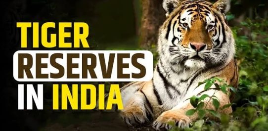 Tiger Reserves In India PDF Free Download