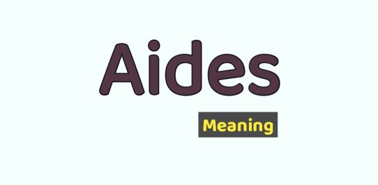 Aides Meaning