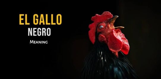 El Gallo Negro Meaning