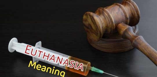 Euthanasia Meaning