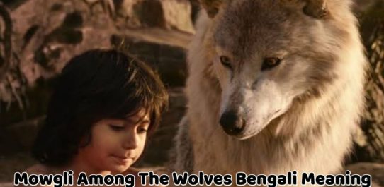 Mowgli Among The Wolves Bengali Meaning