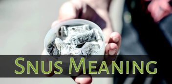 Snus Meaning