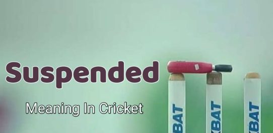 Suspended Meaning In Cricket