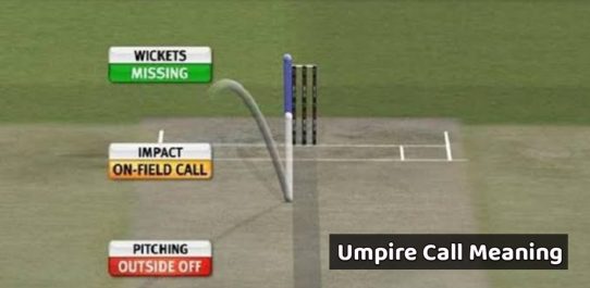 Umpire Call Meaning