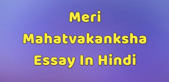 Meri Mahatvakanksha Essay In Hindi