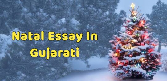 Natal Essay In Gujarati | નાતાલ વિષે ગુજરાતી નિબંધ