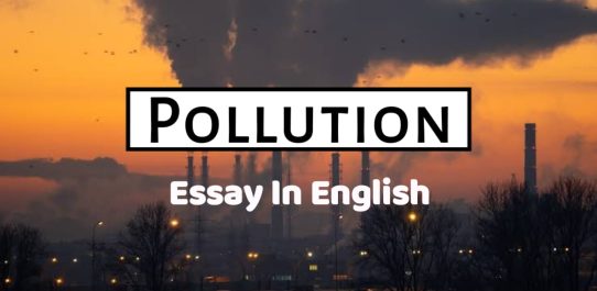 Pollution Essay In English