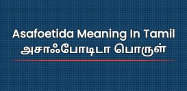 Asafoetida Meaning In Tamil | அசாஃபோடிடா பொருள்