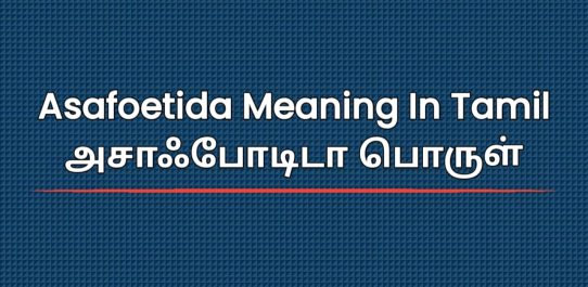 Asafoetida Meaning In Tamil | அசாஃபோடிடா பொருள்