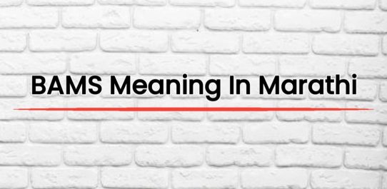BAMS Meaning In Marathi | बीएएमएस चा मराठीत अर्थ