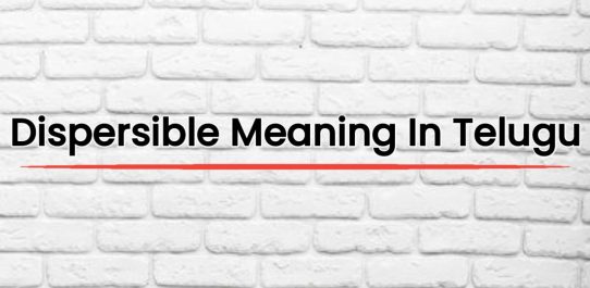 Dispersible Meaning In Telugu