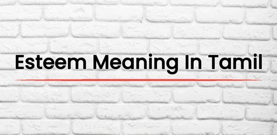 Esteem Meaning In Tamil