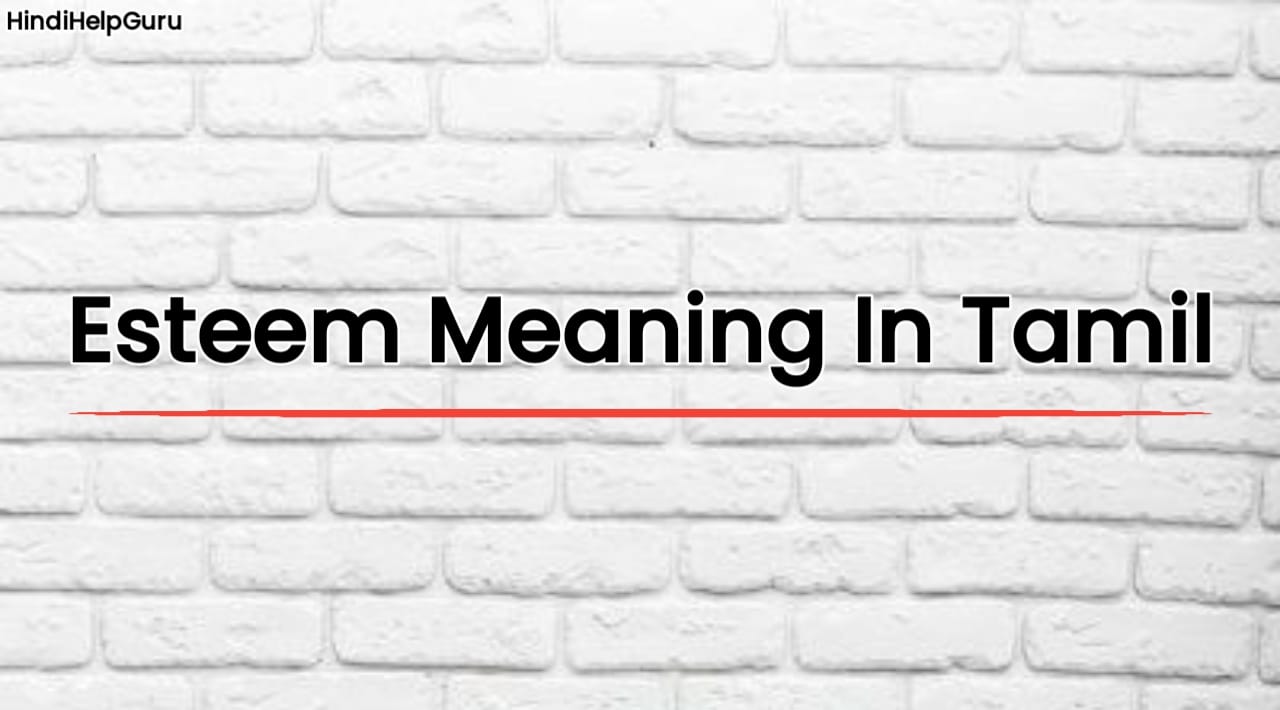 Esteem Meaning In Tamil