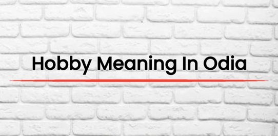 Hobby Meaning In Odia