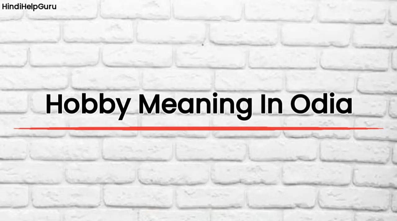 Hobby Meaning In Odia