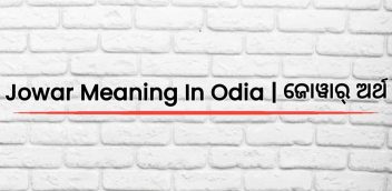 Jowar Meaning In Odia | ଜୋୱାର୍ ଅର୍ଥ