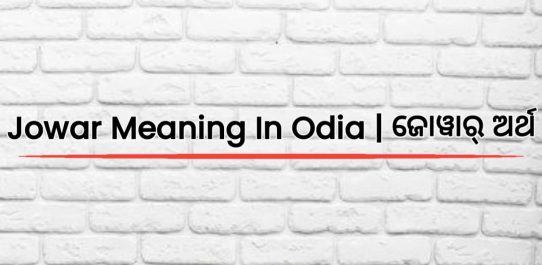 Jowar Meaning In Odia | ଜୋୱାର୍ ଅର୍ଥ