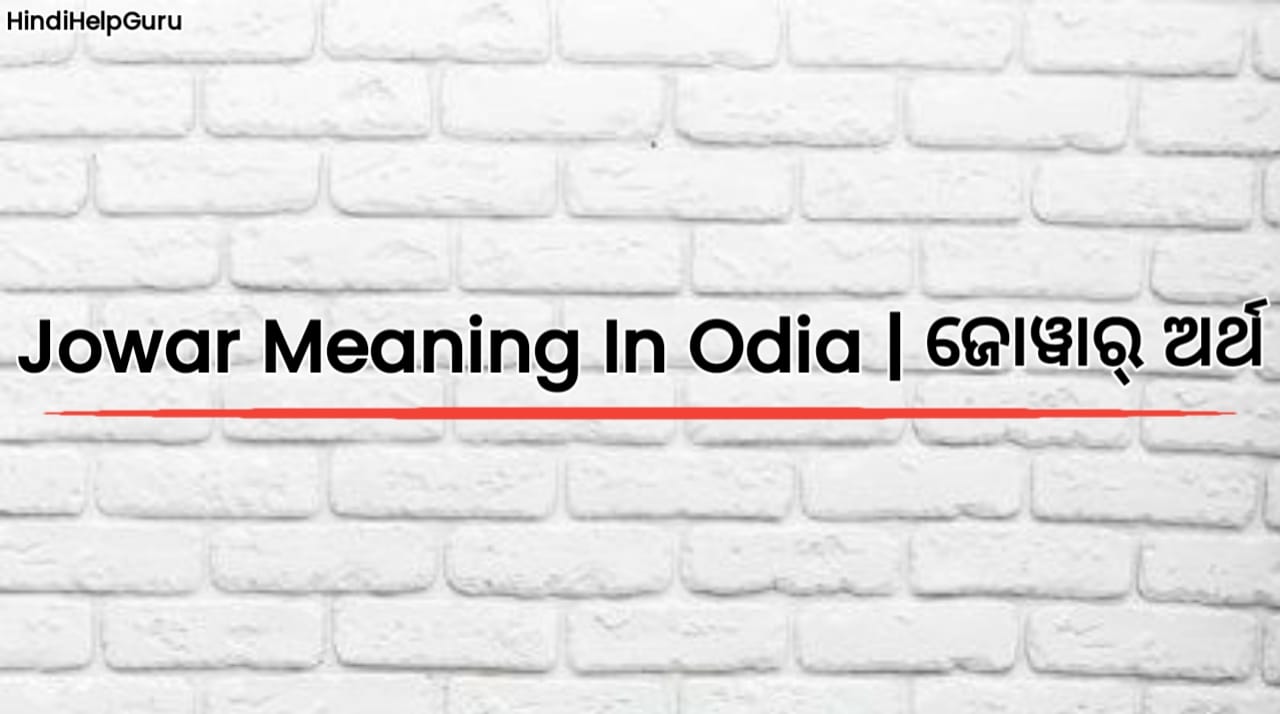 Jowar Meaning In Odia