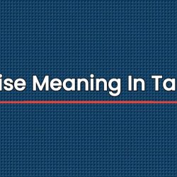 Liaise Meaning In Tamil