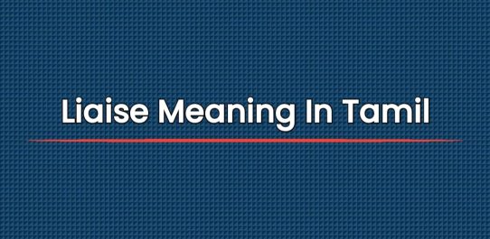 Liaise Meaning In Tamil