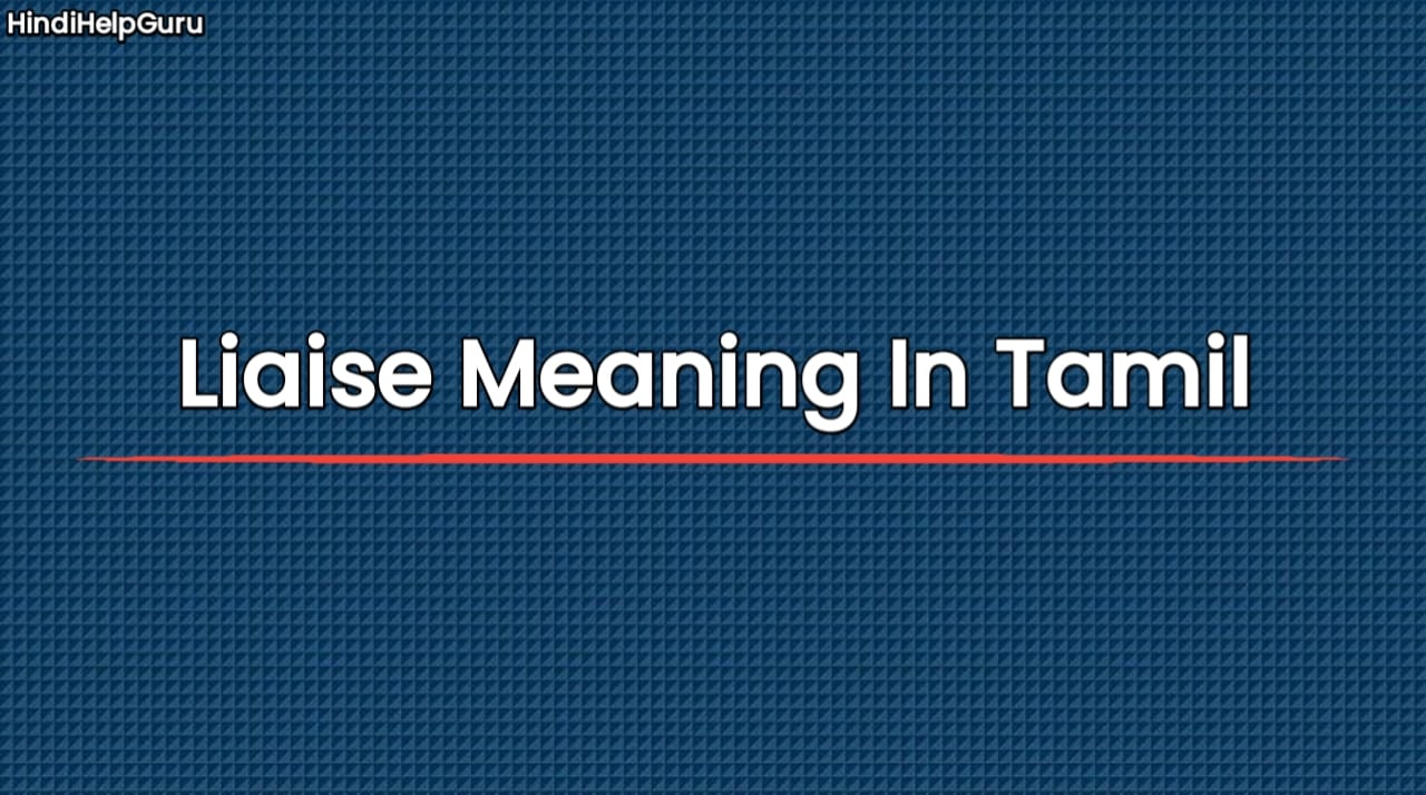 Liaise Meaning In Tamil