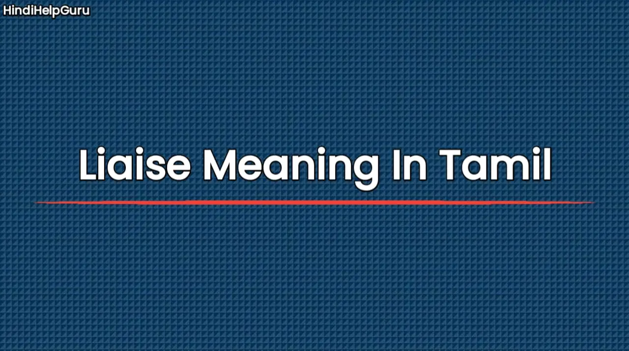 Liaise Meaning In Tamil