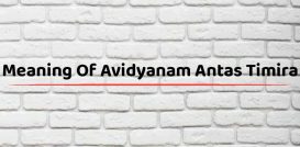Meaning Of Avidyanam Antas Timira